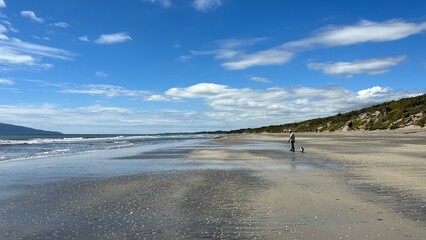 An older adult and her dog walking along a beautiful NZ beach on a fine day. 
