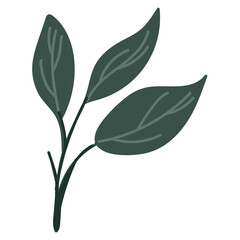 Leaf vector. Collection of leaves