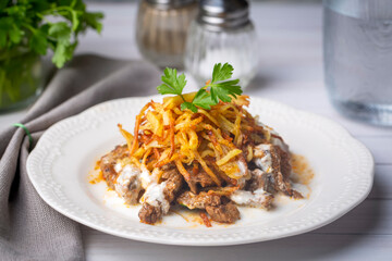 Turkish food; Cokertme Kebab - Beef meat kebab with yoghurt and french fries