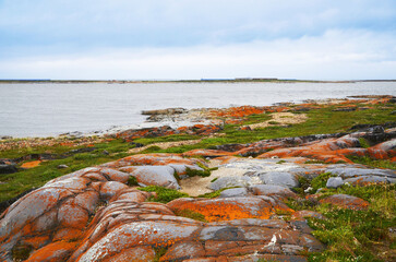 Rocks, in the North Manitoba, Canada