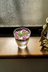 窓辺のコップの水に浮かべたサクラソウ