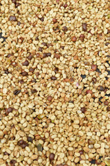  Close up of coffee beans for background                                                               