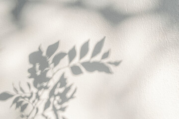 Leaf shadow and light on wall blur background. Nature tropical leaves tree branch plant shade sunlight on white wall texture shadow overlay effect