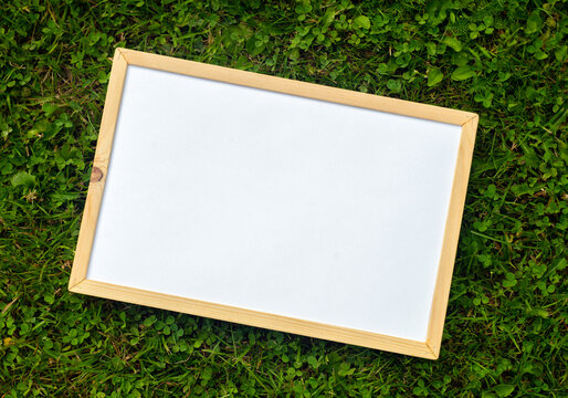 Wooden frame with white leaf on green grass. The form for the summer announcement.