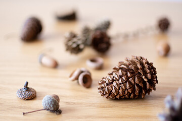 Organic natural objects from a forest. Dried pinecones and acorns on wooden table. Rustic festive concept. Selective focus on the details, blurred background.