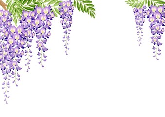 藤の花 春の花 夏の花　背景 フレーム　水彩 イラスト