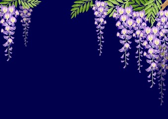 藤の花 春の花 夏の花　背景 フレーム　水彩 イラスト