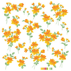 Obraz premium Abstract and impressive cute flower material,