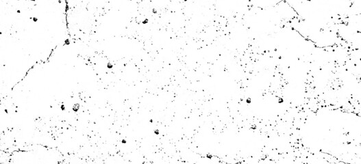 black and white paint