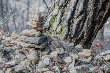 Stack of small rocks in front of tree with blurred background.
