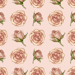 Watercolor seamless pattern with vintage pink roses. Graceful spring collection.