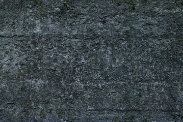 textured concrete wall with moss and lichen