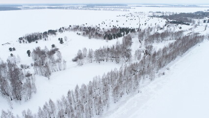 Fototapeta na wymiar Aerial view of a birch grove, a frozen stream and meadows on a cloudy spring day