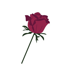 Flat isolated vector illustration flower rose