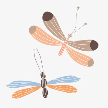 Flat vector isolated illustration dragonfly