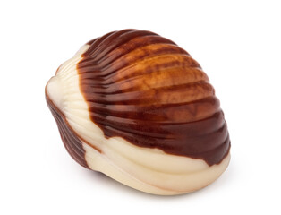 Chocolate sweets shaped as seashells isolated on white background