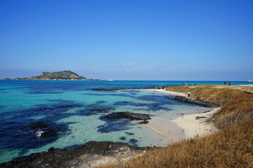 Fototapeta premium fascinating shoaling beach with clear water