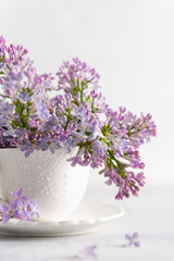 Romantic spring background with branches of blooming lilac in a tea cup on a white background. Tender floral greeting card, poster, invitation, background. Close up. Floral shop