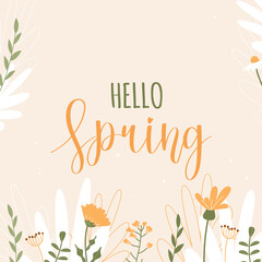 Hello spring. Cream banner with yellow and white spring flowers