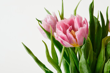 Peony-shaped tulips photo in a bouquet. Macro photo of flowers. Spring and holiday concept, gifts for March 8 international women's day. Front view.