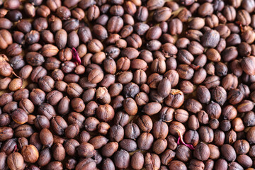 Coffee beans saturated color picture beautiful background