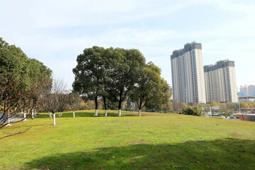 park in the city