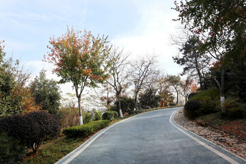 road in the countryside