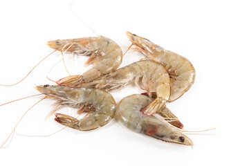fresh raw white shrimps or prawns isolated on white background