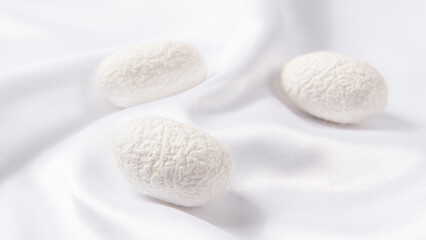 close up of the silkworm cocoon on white silk fabric.