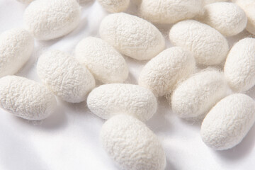 close up of the silkworm cocoon on white silk fabric.