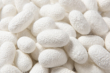 close up of natural silkworm cocoons texture background
