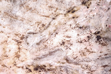 Leather drum old patterns dirty stain grunge brown background