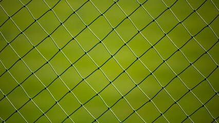 football net on the background of a green lawn.