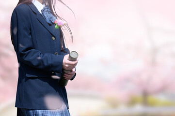 メインビジュアルにも！桜並木で見上げる高校生や中学生のイメージ