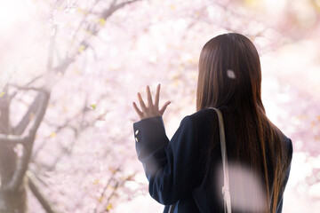 メインビジュアルにも！桜並木で手を振る高校生や中学生のイメージ