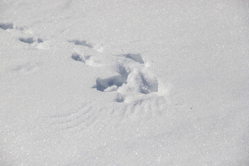 Footprints on white snow, winter nature.