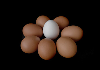 Chicken eggs on a black background.