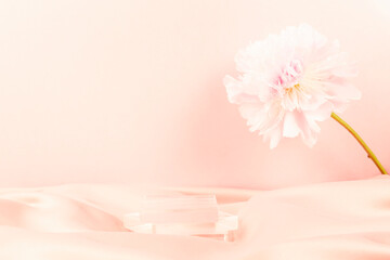 flower on pink background