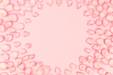 Fototapeta na wymiar roses on pink background