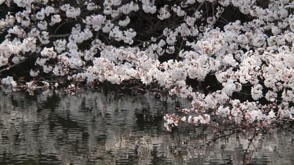 Spring