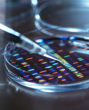 Pipetting sample into tray for DNA testing with result in background