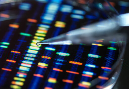 Pipetting sample into tray for DNA testing