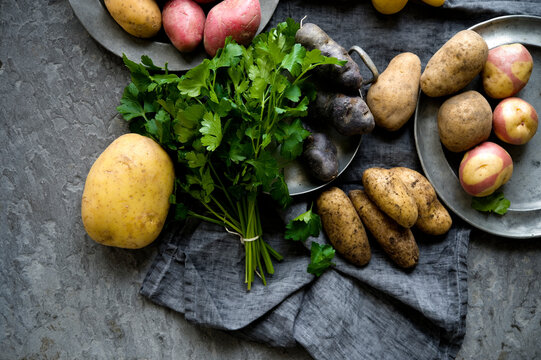 Studio shot of parsley and different varieties of raw potatoes