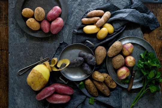 Studio shot of different varieties of raw potatoes
