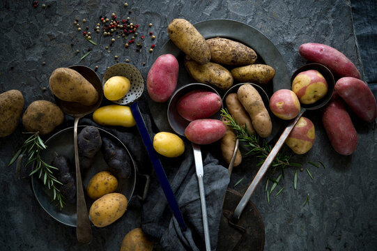 Studio shot of various ladles and different varieties of raw potatoes