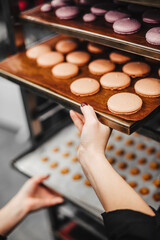 Cooking macaroons dessert, after baking on a saucer