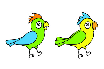 set of two colored parrots

