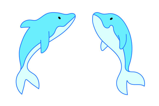 set of two dolphins on a white background