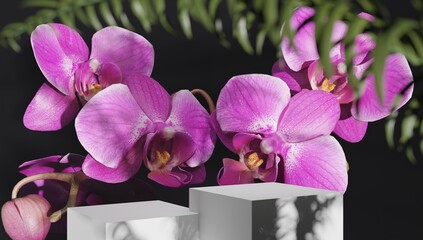 Black square stand for presentations of packaging and cosmetics with delicate orchid flowers in sun. Concept of 3d rendering podium for product demonstrations.