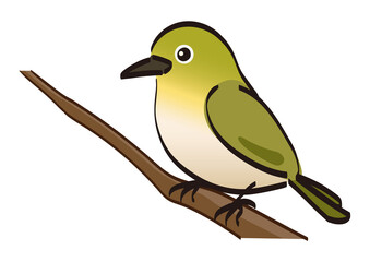 木の枝に止まる一羽のメジロ